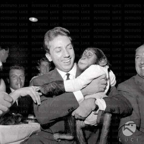 Mike Bongiorno ride stringendo a sé un cucciolo di scimpanzè